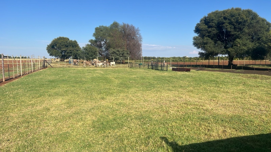 Commercial Property for Sale in Arcadia SH Free State